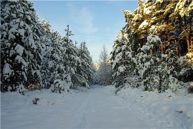 传《生化危机9》内部跳票 不再瞄准2025年发售