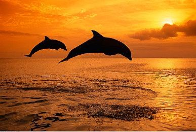 英国周榜：《马里奥赛车8》率老游戏霸占榜单前三