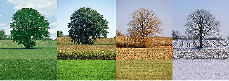 《绝地潜兵2》更难对付的新敌人开发中 带来大挑战